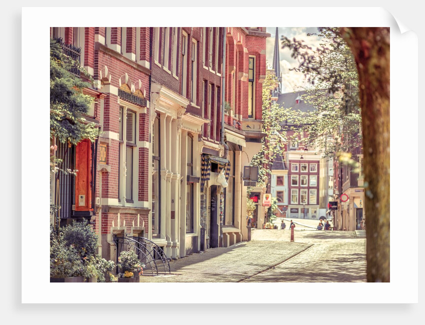 City street, Amsterdam by Assaf Frank